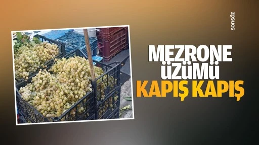 Mezrone &uuml;z&uuml;m&uuml; kapış kapış&hellip;