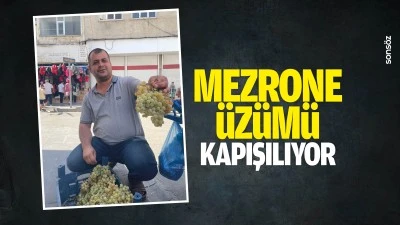 Mezrone &uuml;z&uuml;m&uuml; kapışılıyor