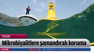 Mikrobiyalitlere şamandıralı koruma