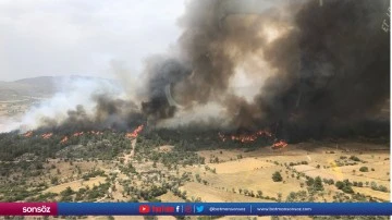 Milas il&ccedil;esinde orman yangını &ccedil;ıktı (2)
