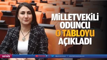Milletvekili Oduncu o tabloyu a&ccedil;ıkladı