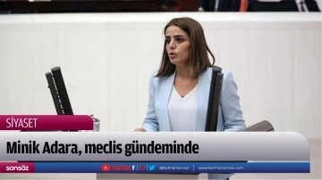 Minik Adara, meclis g&uuml;ndeminde