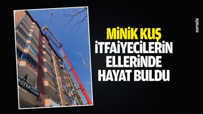 Minik kuş, itfaiyecilerin ellerinde hayat buldu