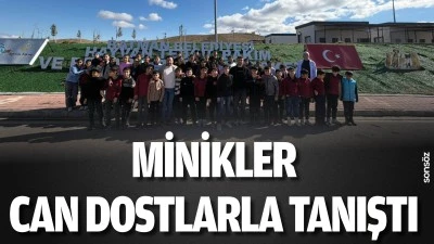 Minikler, can dostlarla tanıştı
