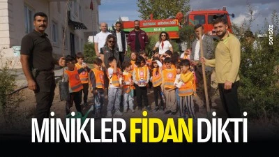 Minikler fidan dikti