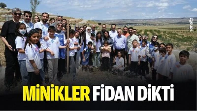 Minikler fidan dikti