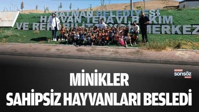 Minikler, sahipsiz hayvanları besledi
