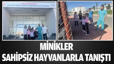 Minikler sahipsiz hayvanlarla tanıştı