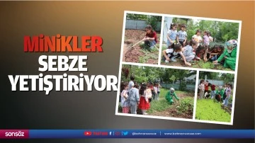 Minikler, sebze yetiştiriyor