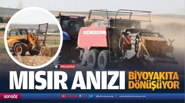 Mısır anızı, biyoyakıta d&ouml;n&uuml;ş&uuml;yor