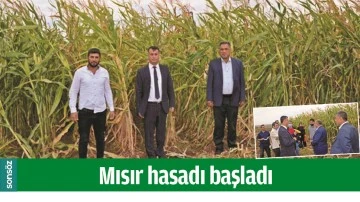 MISIR HASADI BAŞLADI