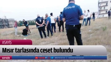 Mısır tarlasında ceset bulundu