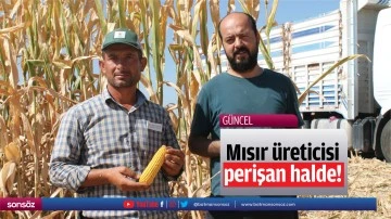 Mısır &uuml;reticisi perişan halde!