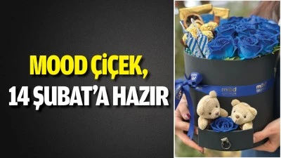Mood &Ccedil;i&ccedil;ek, 14 Şubat&rsquo;a hazır