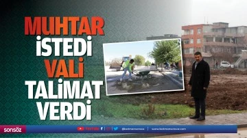 Muhtar istedi, Vali talimat verdi