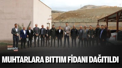 Muhtarlara bıttım fidanı dağıtıldı