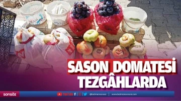 Sason domatesi tezg&acirc;hlarda