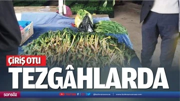&Ccedil;iriş otu tezg&acirc;hlarda&hellip;