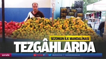Sezonun ilk mandalinası, tezg&acirc;hlarda