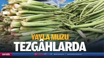 Yayla muzu tezg&acirc;hlarda