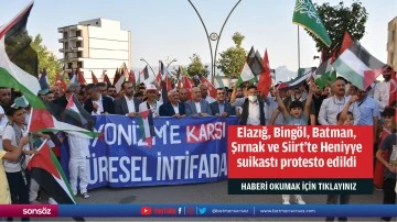 Elazığ, Bing&ouml;l,&nbsp;Batman, Şırnak ve Siirt'te Heniyye suikastı protesto edildi