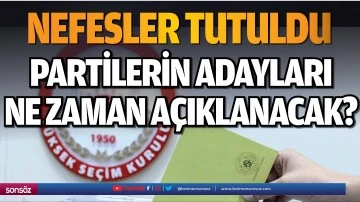 PARTİLERİN ADAYLARI NE ZAMAN A&Ccedil;IKLANACAK?