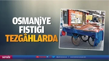 Osmaniye fıstığı tezg&acirc;hlarda