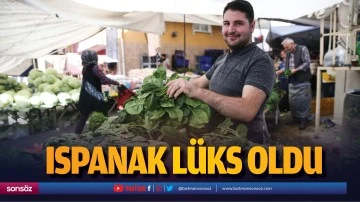 Ispanak l&uuml;ks oldu