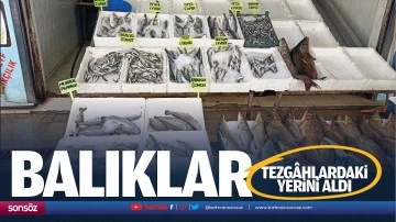 Balıklar tezg&acirc;hlardaki yerini aldı
