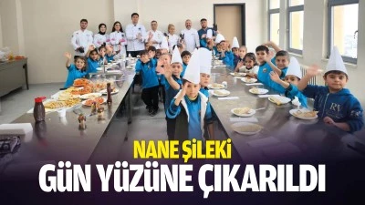 Nane Şileki g&uuml;n y&uuml;z&uuml;ne &ccedil;ıkarıldı