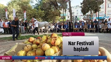 Nar Festivali başladı