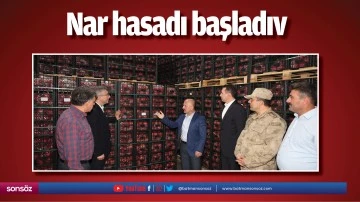 Nar hasadı başladı