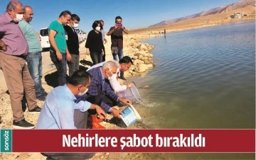 NEHİRLERE ŞABOT BIRAKILDI