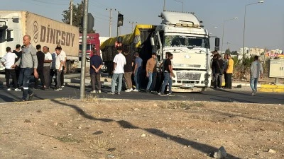 Nusaybin'de tırın &ccedil;arptığı sinyalizasyon direğinin devrilmesi sonucu ulaşımda aksama oldu