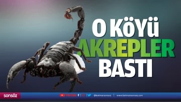 O k&ouml;y&uuml; akrepler bastı
