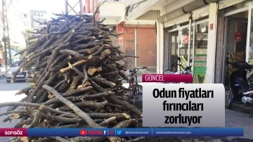 Odun fiyatları, fırıncıları zorluyor