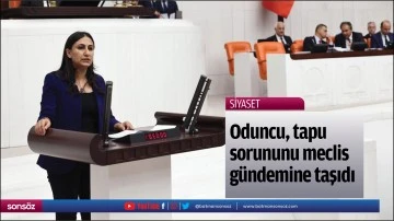 Oduncu, tapu sorununu meclis g&uuml;ndemine taşıdı