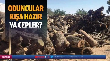 Oduncular kışa hazır, ya cepler?