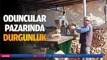 Oduncular pazarında durgunluk