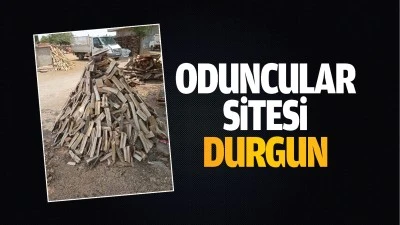 Oduncular Sitesi durgun&hellip;