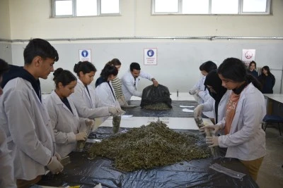 &Ouml;ğrenciler alternatif &uuml;r&uuml;n yetiştirilmesine &ouml;nc&uuml;l&uuml;k edecek
