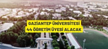 &Ouml;ğretim &uuml;yesi alınacak