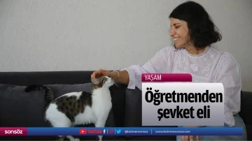 &Ouml;ğretmenden şevket eli