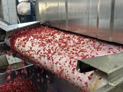 Oğuzeli il&ccedil;esinde Nar suyu ve Nar ekşisi yolculuğu başladı
