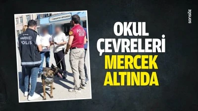 Okul &ccedil;evreleri mercek altında