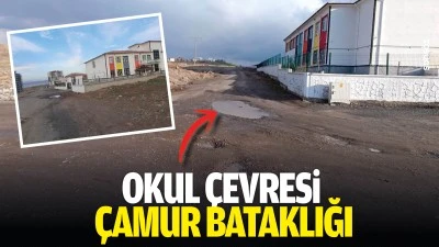 Okul &ccedil;evresi &ccedil;amur bataklığı