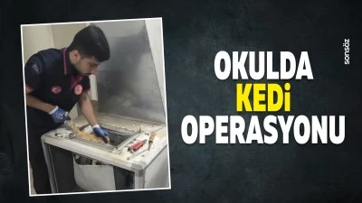 Okulda kedi operasyonu