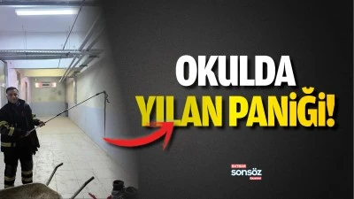 Okulda yılan paniği!
