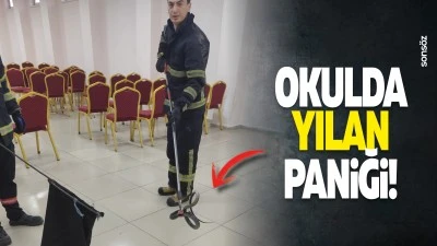 Okulda yılan paniği!