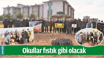 OKULLAR FISTIK GİBİ OLACAK
